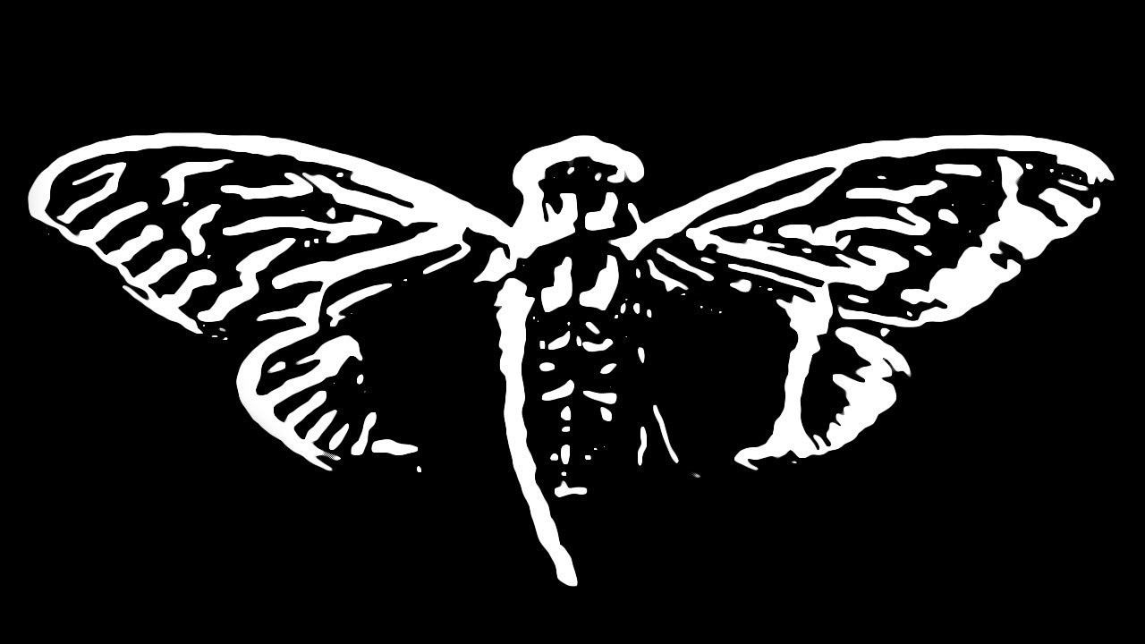 Fullskärmsbild Cicca